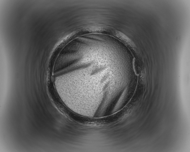 X0000086270732200704122028