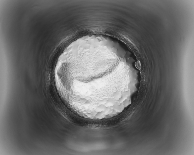 X0000086270733200704122028