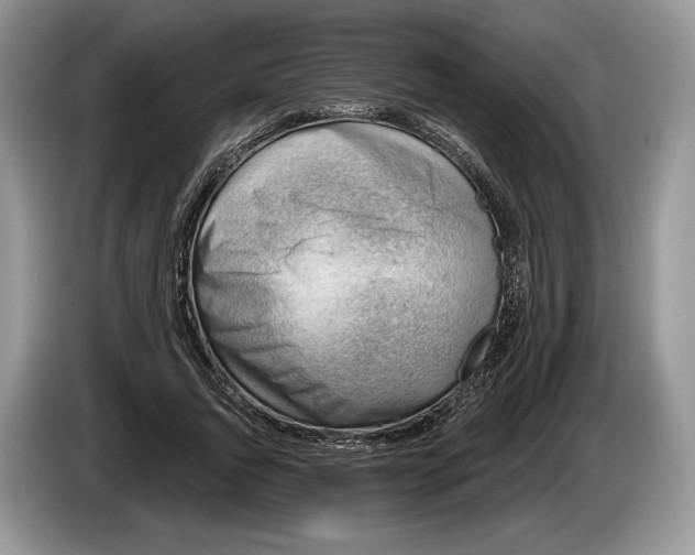 X0000086270736200704122028