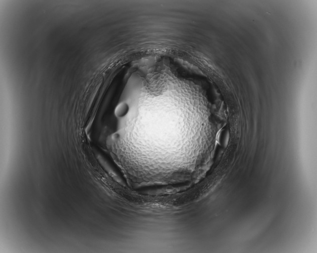 X0000086270737200704122029