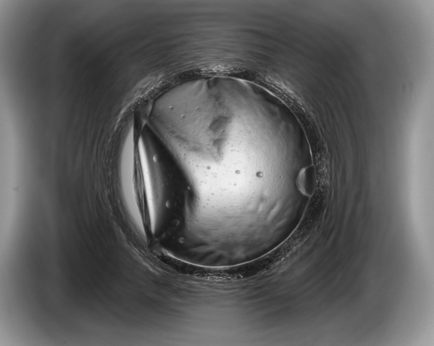 X0000086270738200704122029