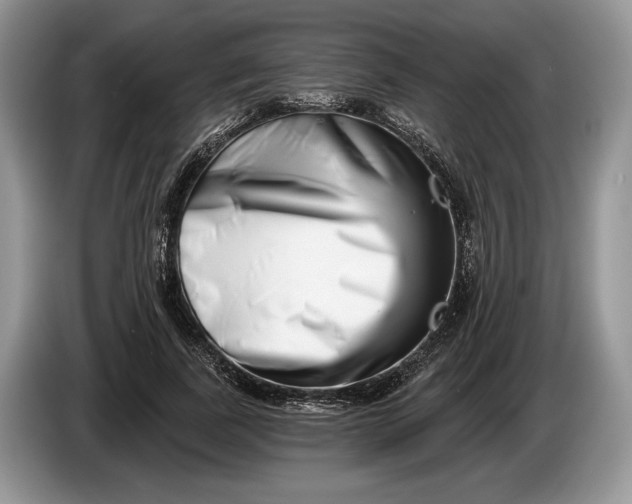 X0000086270739200704122029