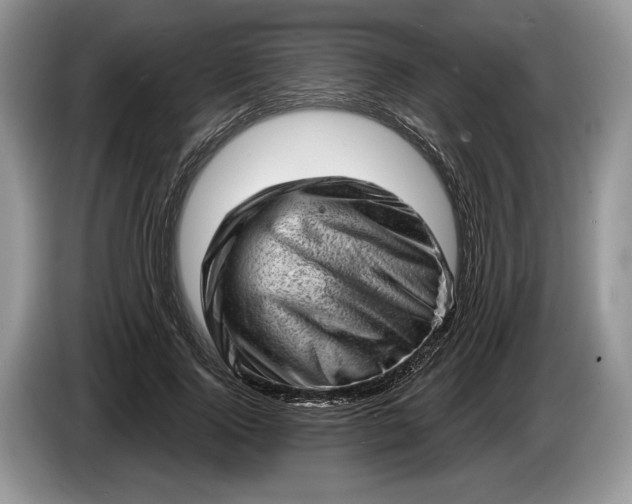 X0000086270740200704122029