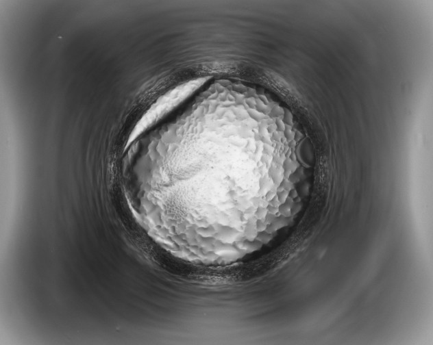 X0000086270741200704122029