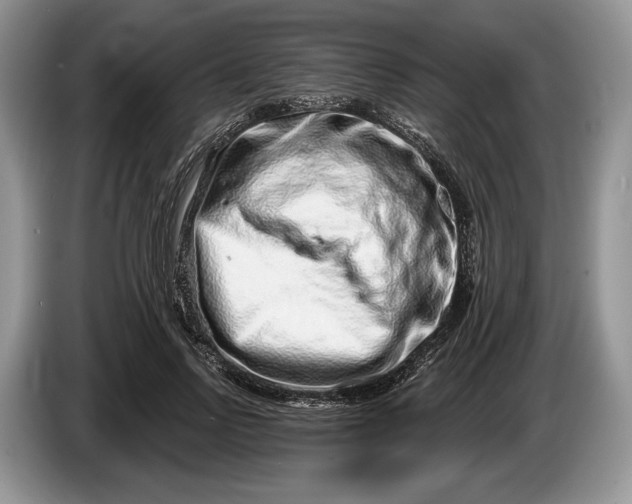 X0000086270742200704122029