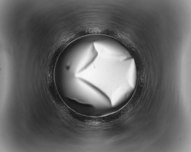 X0000086270743200704122029