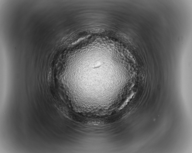 X0000086270745200704122029