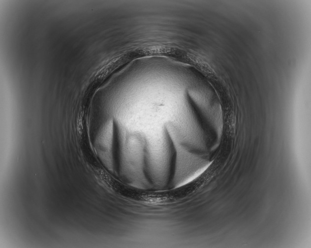 X0000086270746200704122029