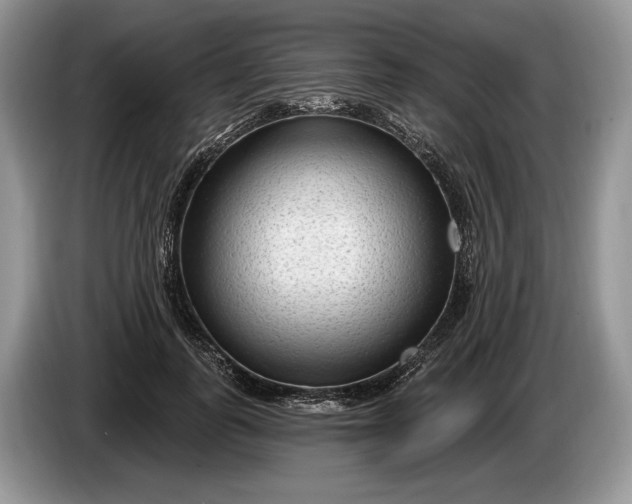 X0000086270747200704122029