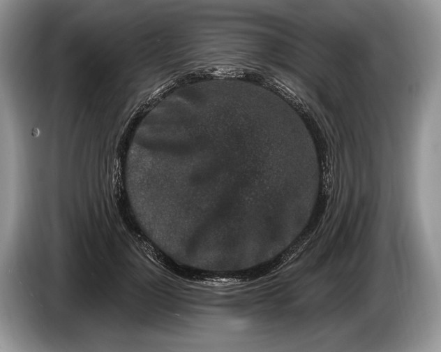 X0000086270748200704122029