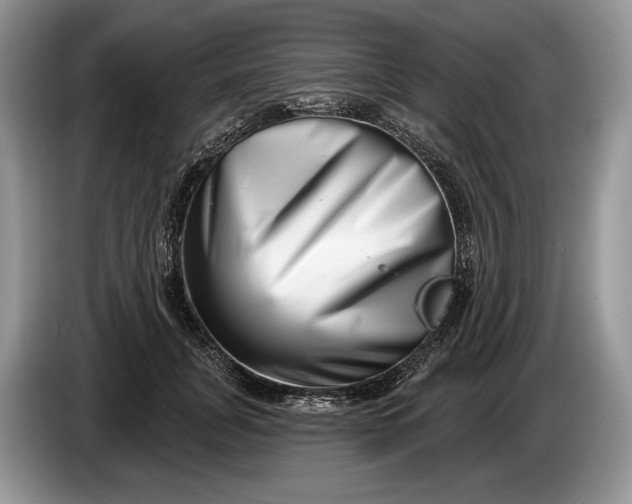 X0000086270751200704122029