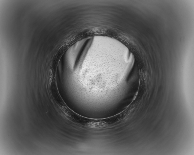 X0000086270752200704122029