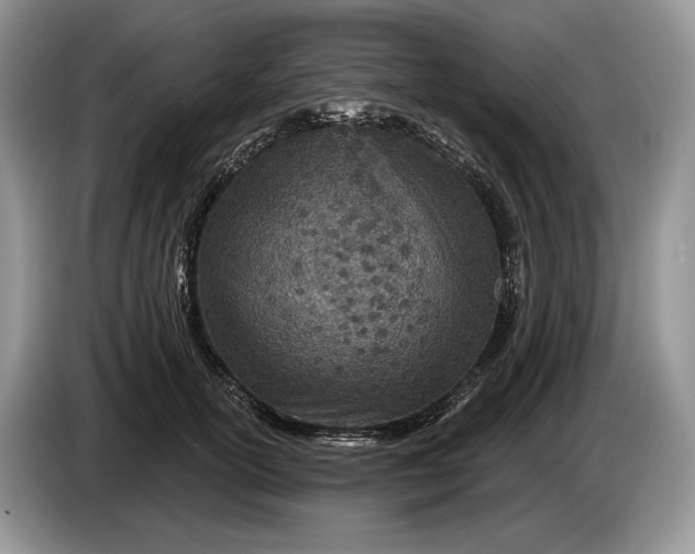 X0000086270754200704122029