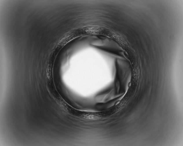 X0000086270755200704122029