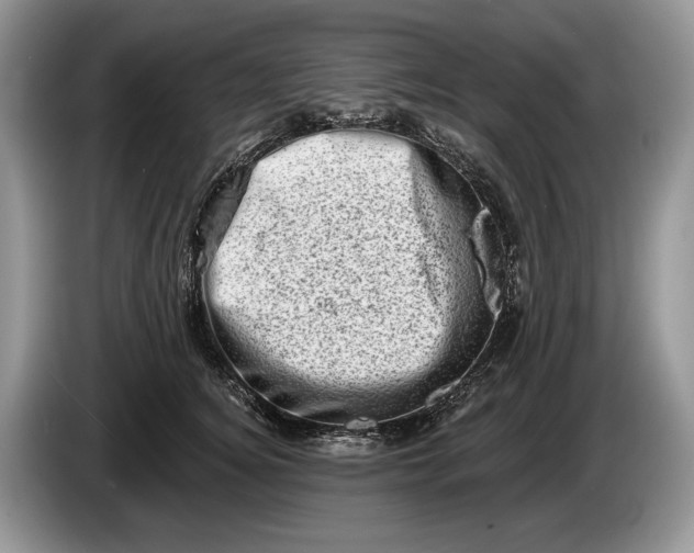 X0000086270756200704122029