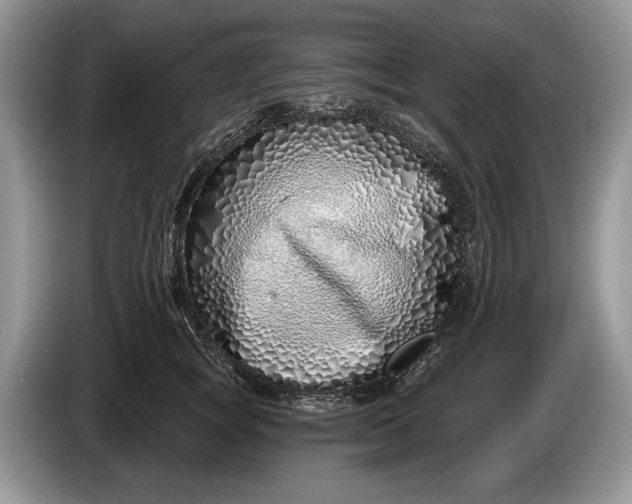 X0000086270757200704122029