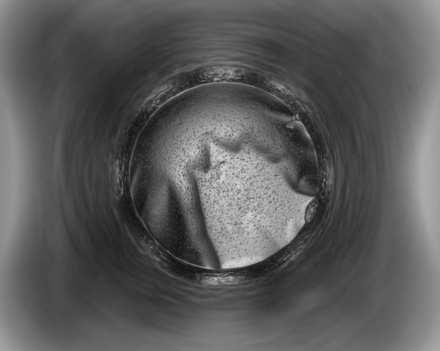 X0000086270759200704122029