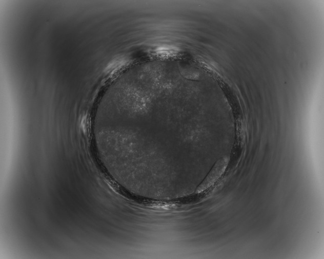 X0000086270760200704122029