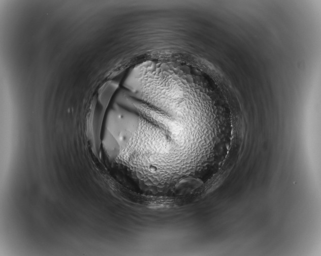 X0000086270761200704122029