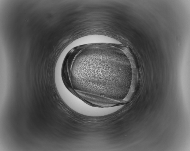 X0000086270762200704122029