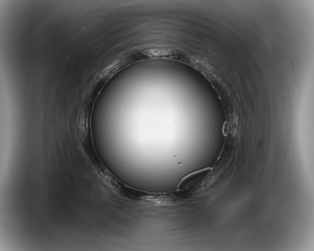 X0000086270763200704122029