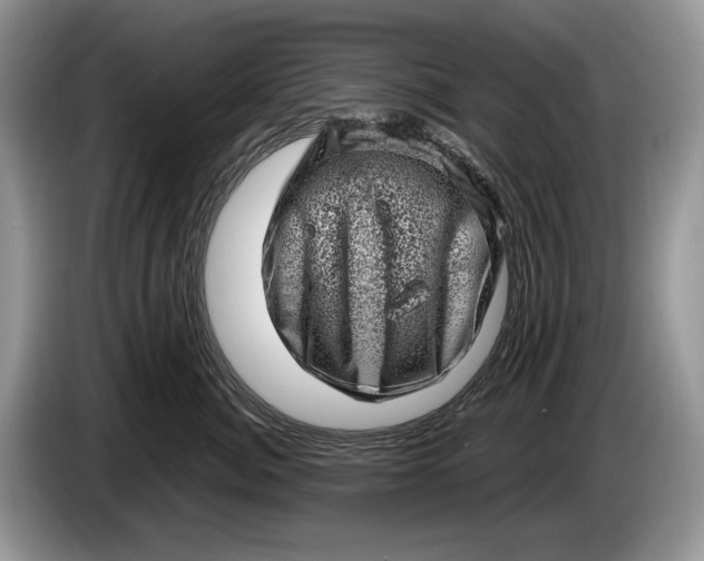 X0000086270764200704122029