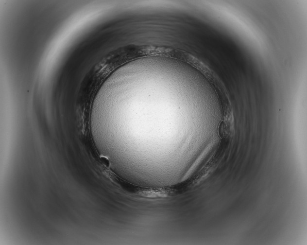 X0000086270765200704122029