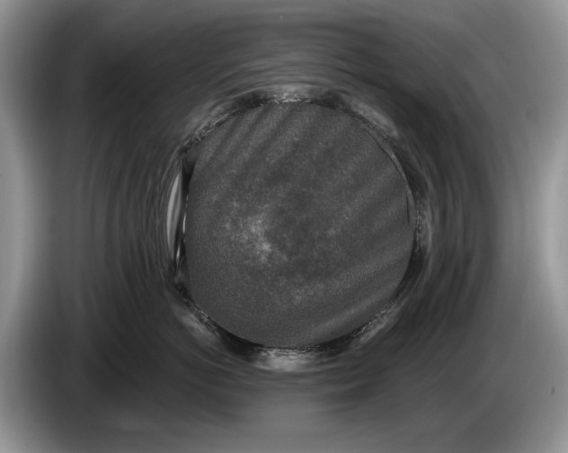 X0000086270766200704122029