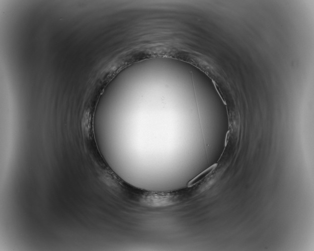 X0000086270767200704122029