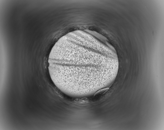 X0000086270768200704122029