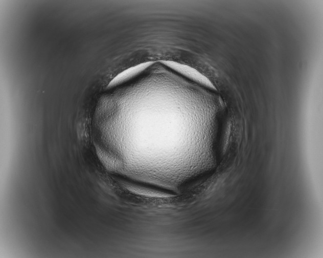 X0000086270770200704122028