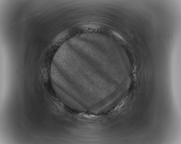 X0000086270774200704122028