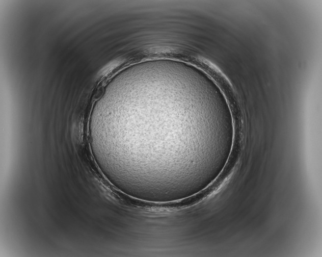 X0000086270777200704122028