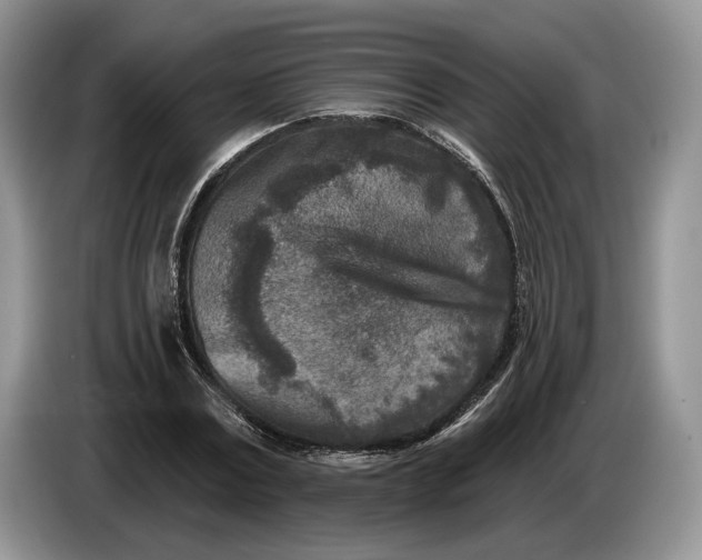 X0000086270779200704122028