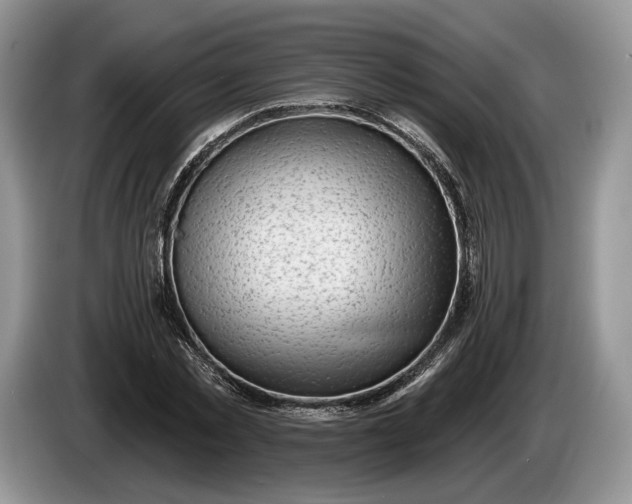 X0000086270781200704122028