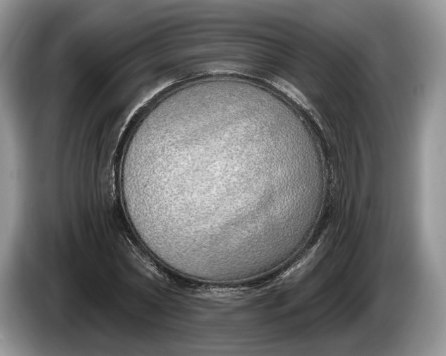 X0000086270782200704122028