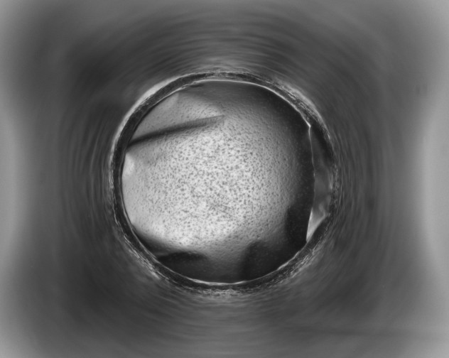 X0000086270784200704122028