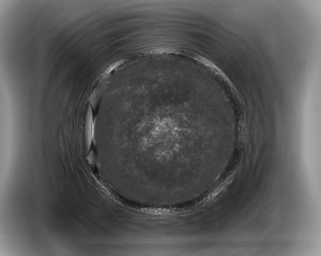 X0000086270785200704122028