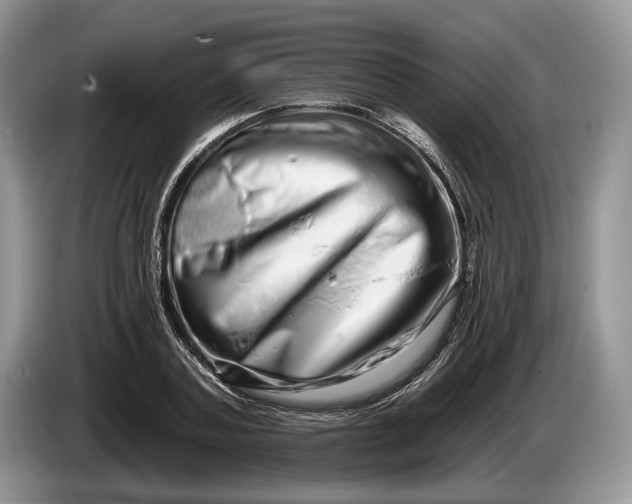 X0000086270787200704122028