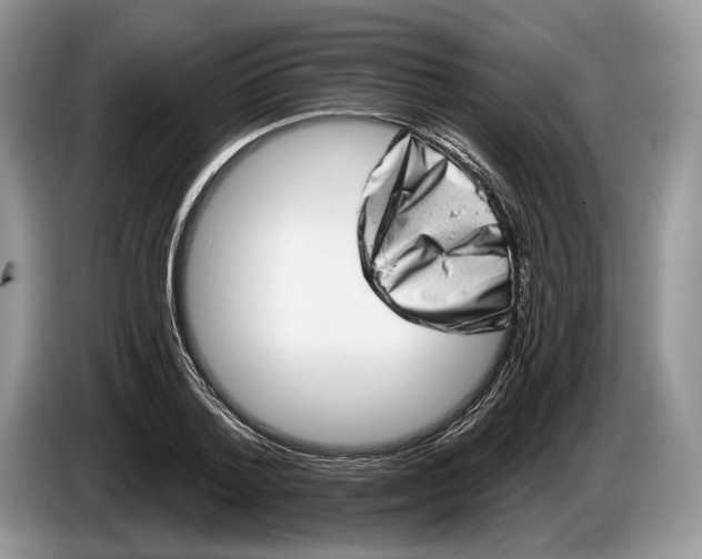 X0000086270788200704122028