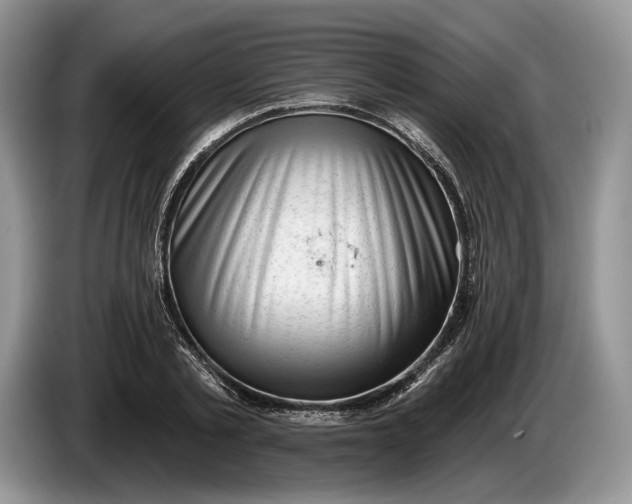 X0000086270789200704122028