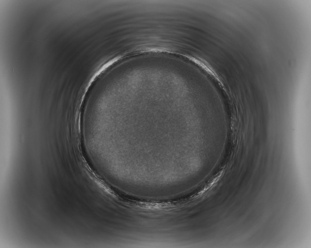 X0000086270790200704122028