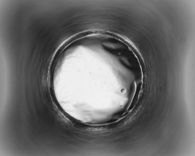 X0000086270791200704122028