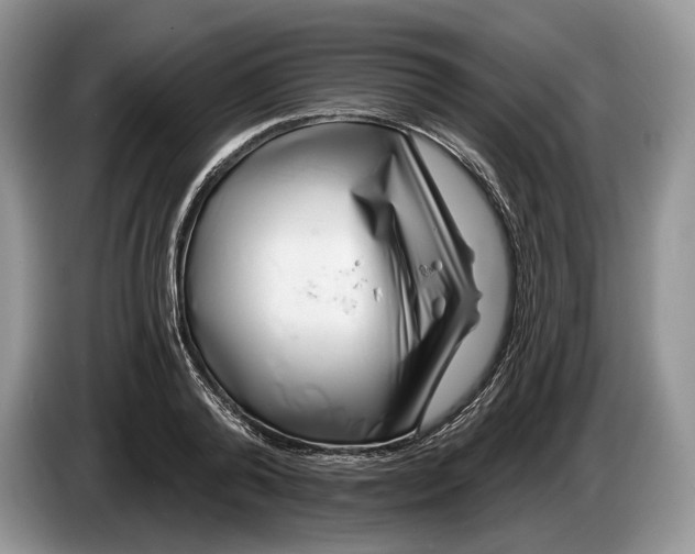 X0000086270792200704122028