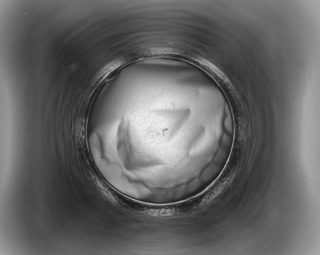 X0000086270793200704122028