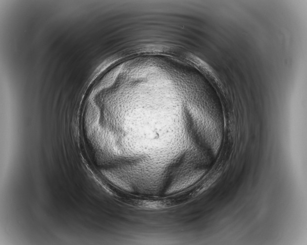 X0000086270794200704122028