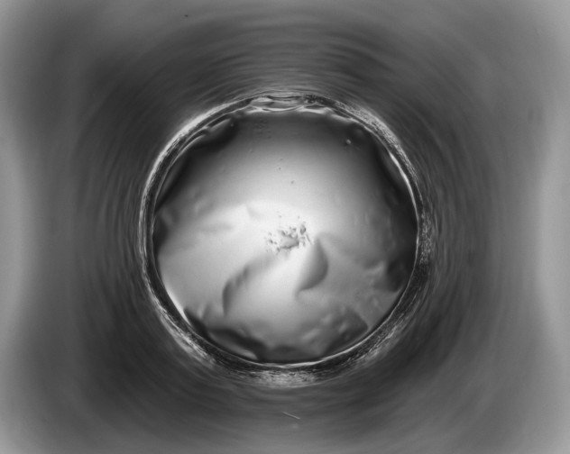 X0000086270795200704122028