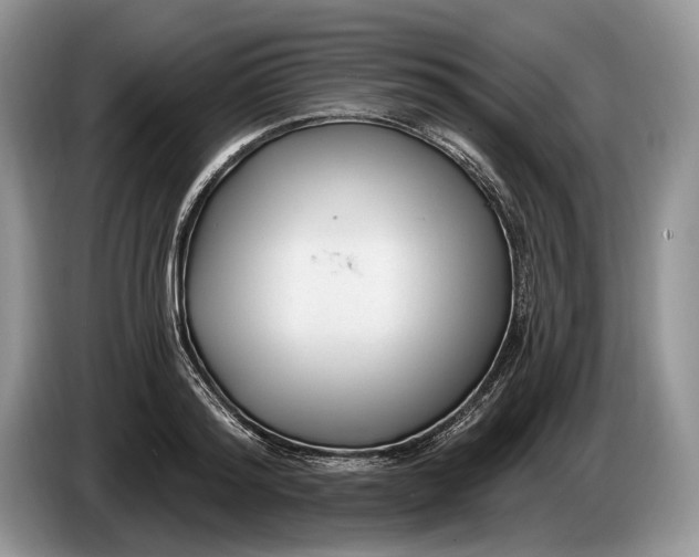 X0000086270796200704122028