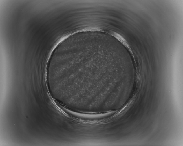 X0000086270797200704122028