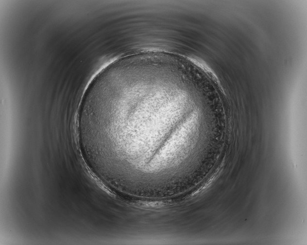 X0000086270798200704122028